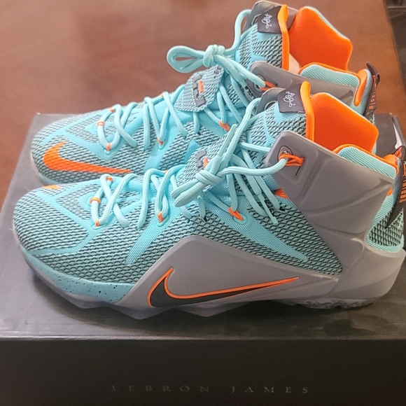 Lebron XII NSRL sz 13 - Picture 2 of 4